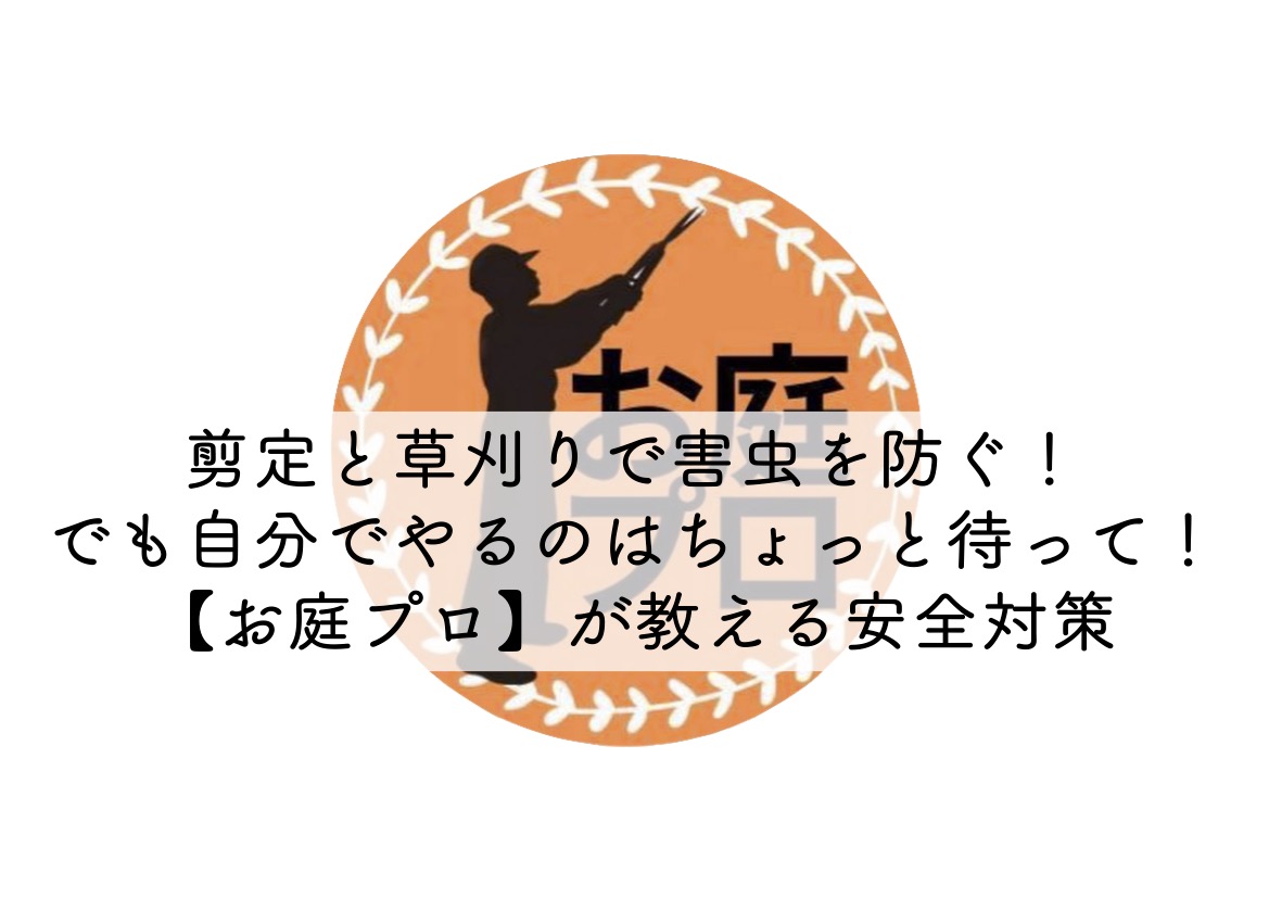 【練馬区、杉並区、中野区、板橋区、北区の皆様へ】剪定と草刈りで害虫を防ぐ！でも自分でやるのはちょっと待って！【お庭プロ】が教える安全対策